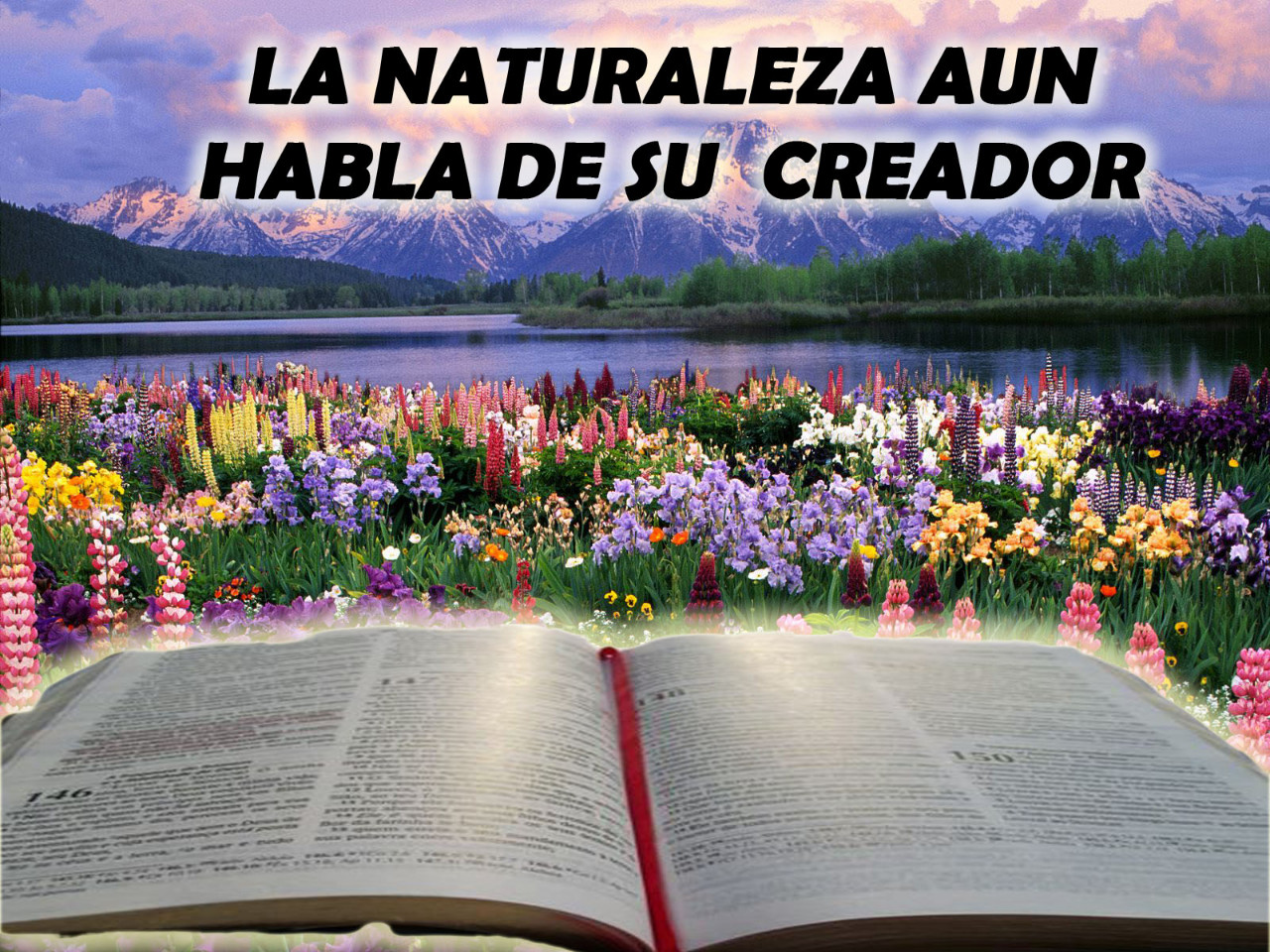 Cuidando la Cración de Dios Aun hay Esperanza